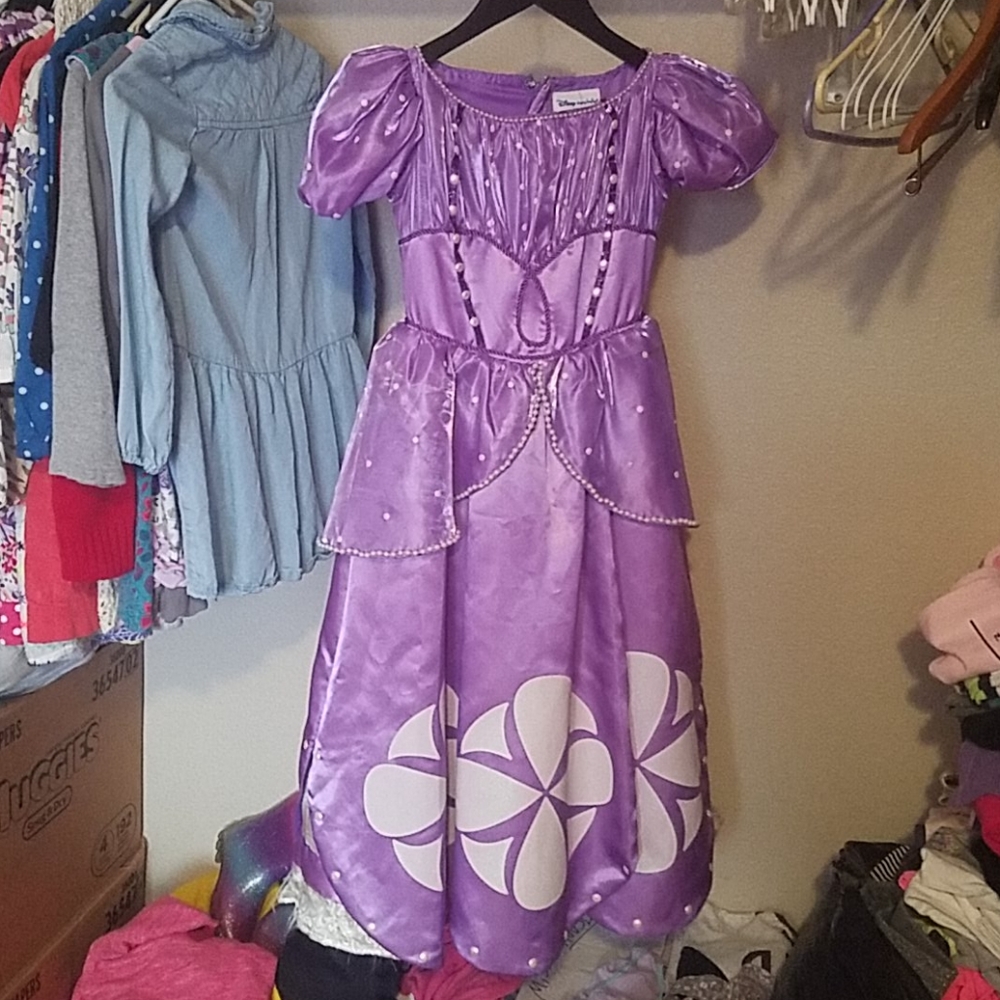 Sofia the First Disney dress